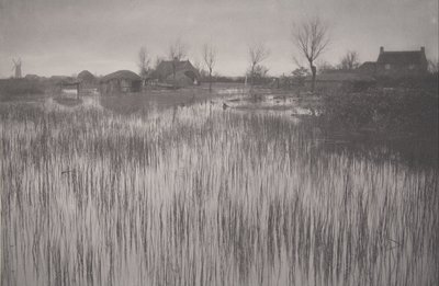 Una orilla juncosa, lámina XXXV de Vida y paisaje en los Norfolk Broads de Peter Henry Emerson